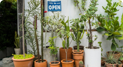 植物零售